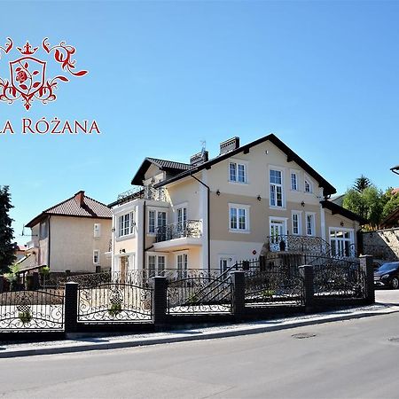 Willa Rozana - Apartamenty I Pokoje Goscinne Сандомир Экстерьер фото